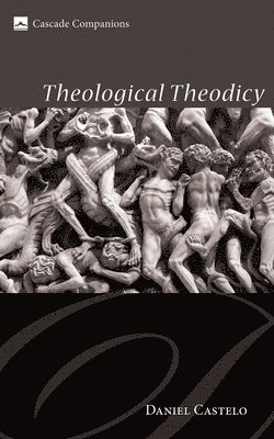 bokomslag Theological Theodicy