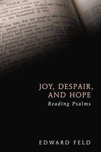 bokomslag Joy, Despair, and Hope