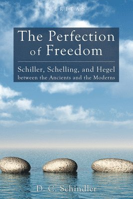 bokomslag Perfection of Freedom