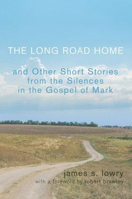 bokomslag Long Road Home and Other Short Stories from the Silences in the Gospel of Mark
