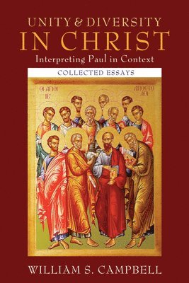 bokomslag Unity and Diversity in Christ: Interpreting Paul in Context