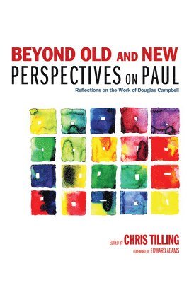 Beyond Old and New Perspectives on Paul 1