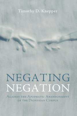 bokomslag Negating Negation