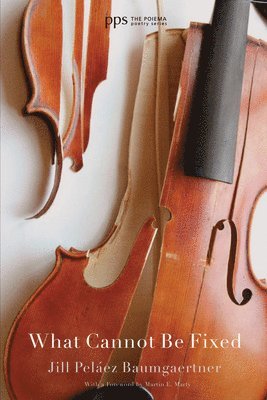 Jill Peláez Baumgaertner - What Cannot Be Fixed, Inbunden