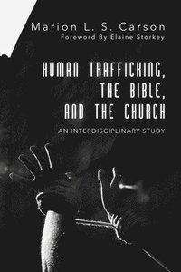 bokomslag Human Trafficking, the Bible, and the Church: An Interdisciplinary Study