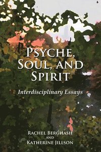 bokomslag Psyche, Soul, and Spirit