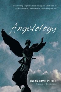 bokomslag Angelology