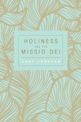 bokomslag Holiness and the Missio Dei