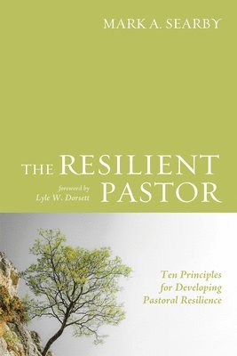 bokomslag The Resilient Pastor