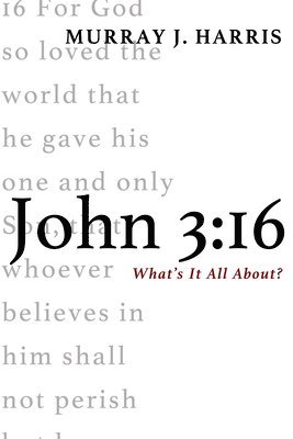 John 3:16 1