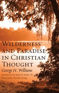 bokomslag Wilderness and Paradise in Christian Thought