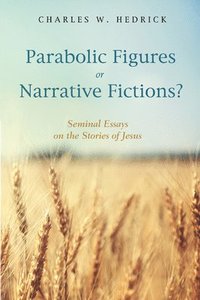bokomslag Parabolic Figures or Narrative Fictions?