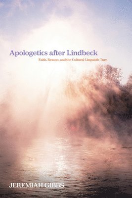 bokomslag Apologetics after Lindbeck