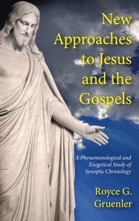 bokomslag New Approaches to Jesus and the Gospels