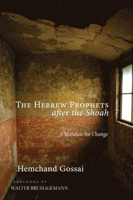 bokomslag The Hebrew Prophets After the Shoah