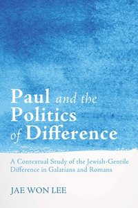 bokomslag Paul and the Politics of Difference