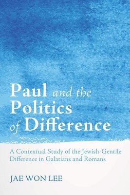 bokomslag Paul and the Politics of Difference