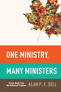 bokomslag One Ministry, Many Ministers