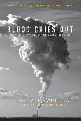 A J Swoboda, A. J. Swoboda - Blood Cries Out, Inbunden