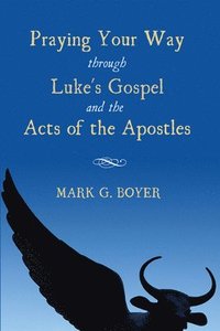 bokomslag Praying Your Way through Luke's Gospel and the Acts of the Apostles