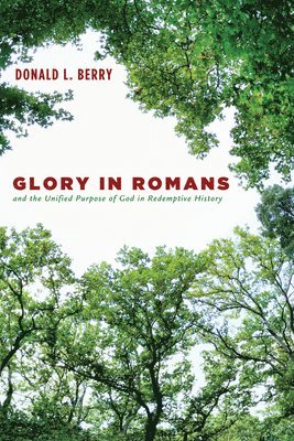 bokomslag Glory in Romans and the Unified Purpose of God in Redemptive History