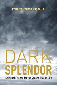 bokomslag Dark Splendor