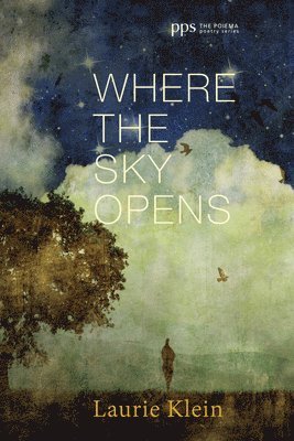 Laurie Klein - Where the Sky Opens, Inbunden