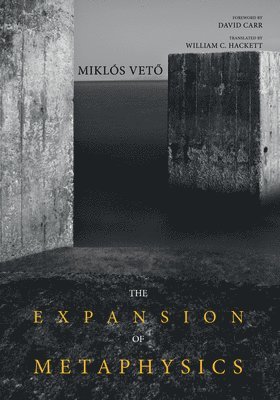 Miklos Veto - Expansion of Metaphysics, Häftad