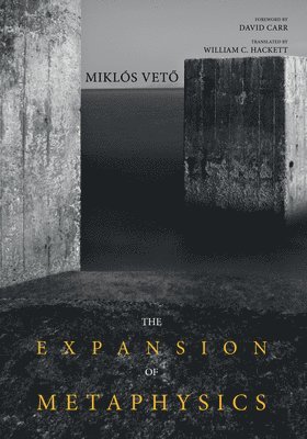 The Expansion of Metaphysics 1