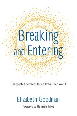 Liz R Goodman, Liz R. Goodman - Breaking and Entering, Inbunden