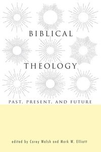 bokomslag Biblical Theology