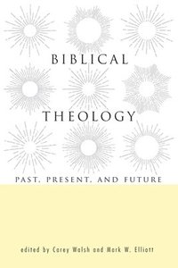 bokomslag Biblical Theology