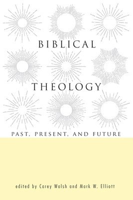 bokomslag Biblical Theology