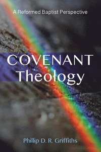 bokomslag Covenant Theology