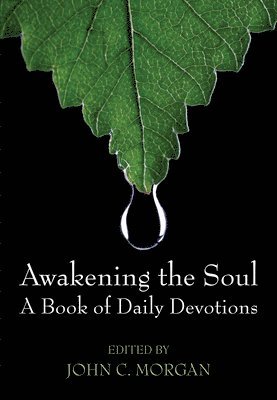 Awakening the Soul 1