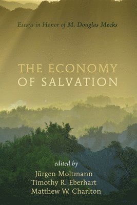 The Economy of Salvation 1