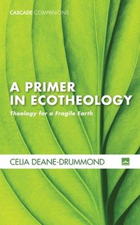 bokomslag A Primer in Ecotheology
