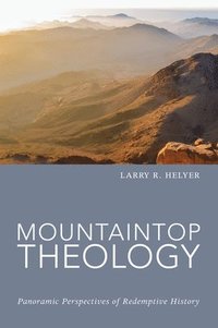 bokomslag Mountaintop Theology