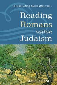 bokomslag Reading Romans Within Judaism