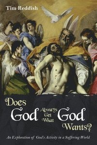 bokomslag Does God Always Get What God Wants?