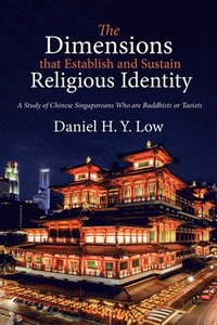 bokomslag Dimensions That Establish and Sustain Religious Identity