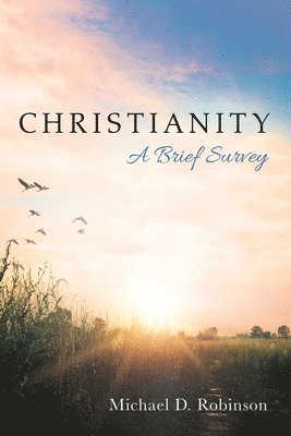 bokomslag Christianity