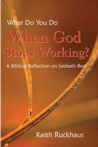 bokomslag When God Stops Working