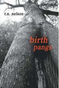 bokomslag Birth Pangs