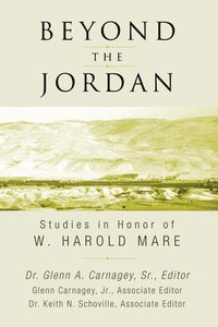 bokomslag Beyond the Jordan