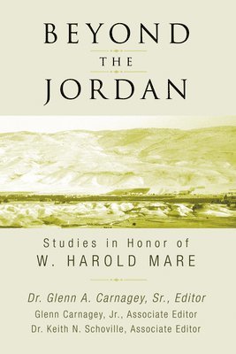 bokomslag Beyond the Jordan
