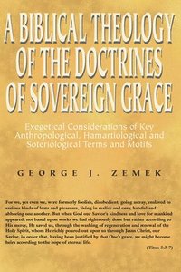 bokomslag Biblical Theology of the Doctrines of Sovereign Grace
