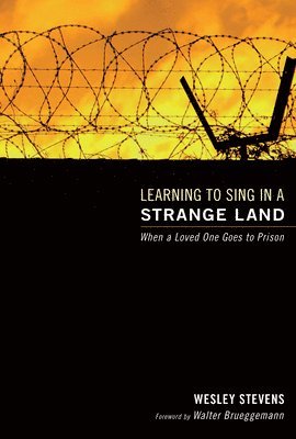 Learning to Sing in a Strange Land 1