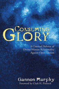 bokomslag Consuming Glory: A Classical Defense of Divine-Human Relationality Against Open Theism