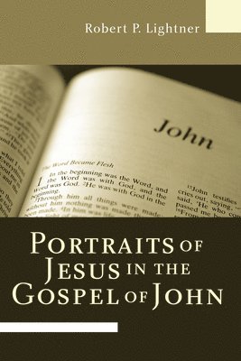 bokomslag Portraits of Jesus in the Gospel of John